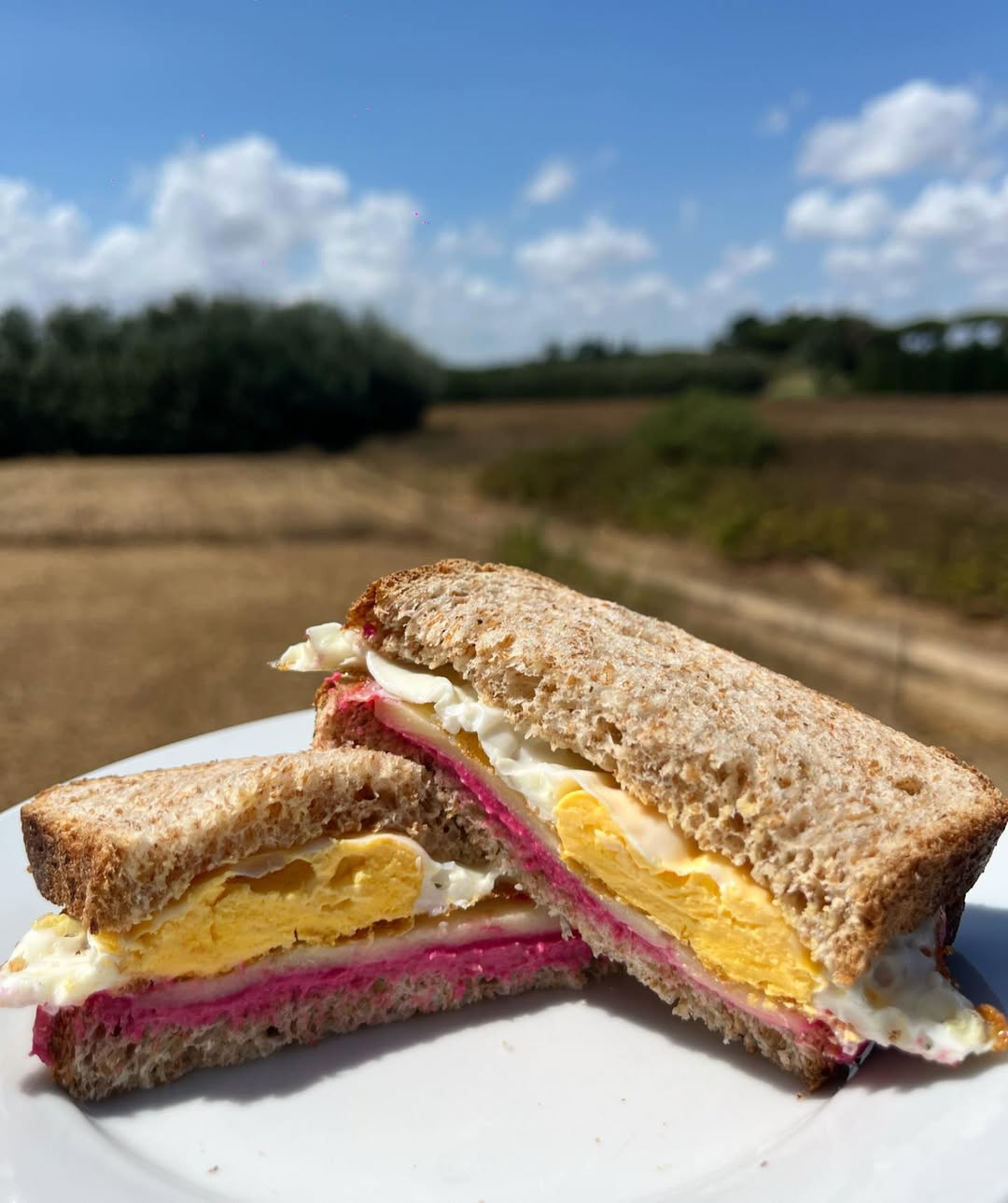 Pink sandwich bilanciato con hummus e uovo
